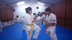 Chile Toledo August 2015 15