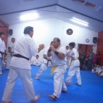 Chile Toledo August 2015 16