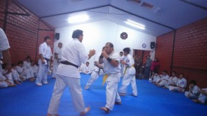 Chile Toledo August 2015 16