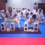 Chile Toledo August 2015 17