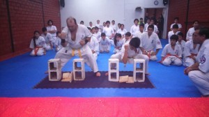 Chile Toledo August 2015 17