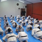 Chile Toledo August 2015 19