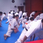 Chile Toledo August 2015 2