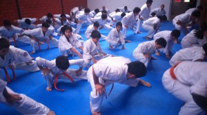 Chile Toledo August 2015 3