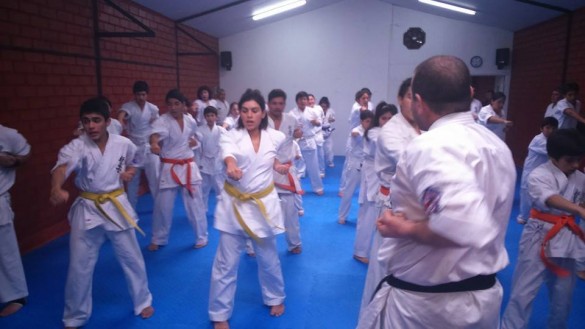 Chile Toledo August 2015 4