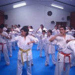 Chile Toledo August 2015 5