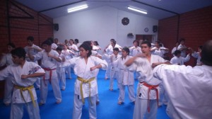 Chile Toledo August 2015 5