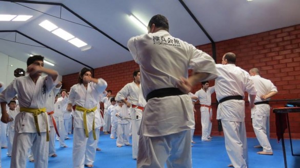 Chile Toledo August 2015 6