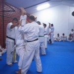 Chile Toledo August 2015 7