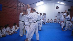 Chile Toledo August 2015 7