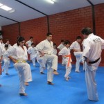 Chile Toledo August 2015 8