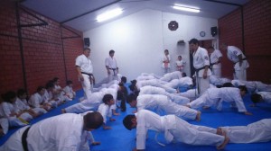 Chile Toledo August 2015 9