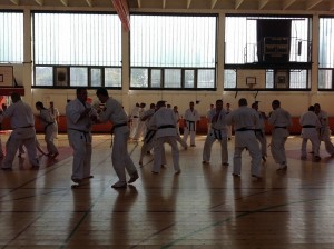 Hungary Zsolt August 2015 16