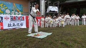 ホリデーインまえばし2015　16