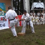 ホリデーインまえばし2015　4