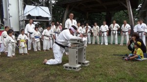 ホリデーインまえばし2015　15