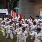 ホリデーインまばし2015　1