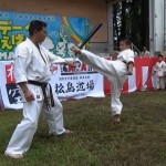 ホリデーインまえばし2015　9