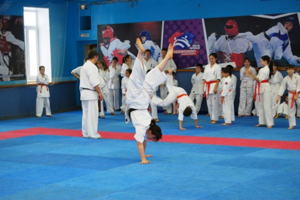 Russia Olin September 2015 6