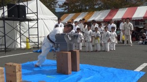 昭和村演武会2015　11