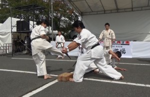 昭和村演武会2015　15