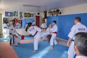 Brasil Nagata October 2015 13