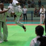 Brasil Nagata October 2015 9