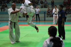 Brasil Nagata October 2015 9