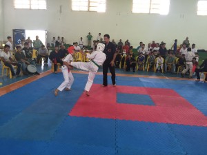 Iran Ghasemi October 2015 12