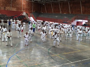 Swaziland Vilakati October 2015 2