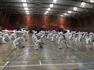 Swaziland Vilakati October 2015 3