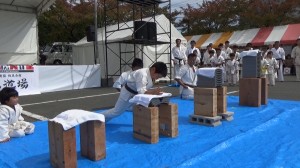 昭和村演武会2015　9