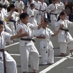 昭和村演武会2015　3