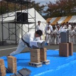 昭和村演武会2015　10