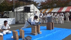 昭和村演武会2015　10