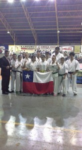 Brazil Nagata November 2015 8