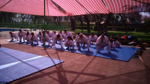 Chile Toledo November 2015 1