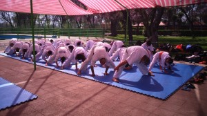 Chile Toledo November 2015 6