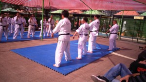 Chile Toledo November 2015 9