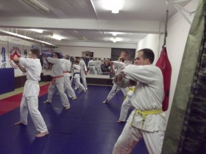 Russia Zhgulyov January 2016 1