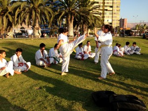 Chile Segovia February 2016 10