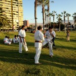 Chile Segovia February 2016 11