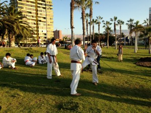 Chile Segovia February 2016 11