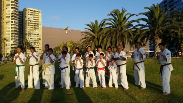 Chile Segovia February 2016 14