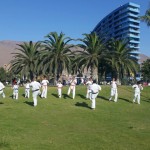 Chile Segovia February 2016 15