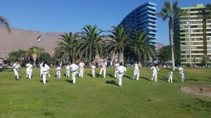 Chile Segovia February 2016 15