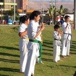 Chile Segovia February 2016 3