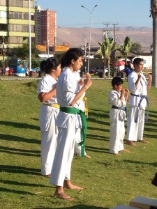 Chile Segovia February 2016 3