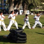 Chile Segovia February 2016 4