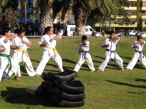 Chile Segovia February 2016 4